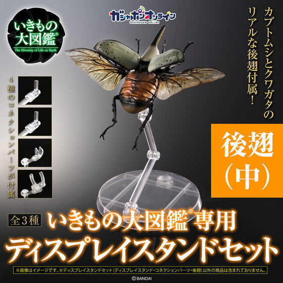 予約開始】6月24日 「いきもの大図鑑専用 ディスプレイスタンド ...