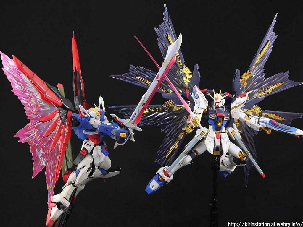 RG ストライクフリーダムガンダム 天空の翼 ガンプラ 全塗装 完成品 